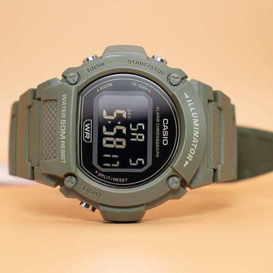 ساعتمچی مردانه کاسیو رفرانس CASIO-W-219HC-3BVDF